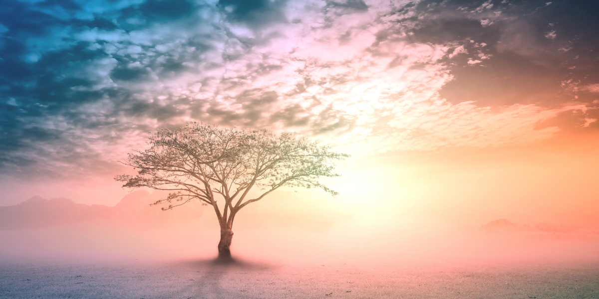 Scientists Warn of ‘Mirror Life’ – A Technology That Could Threaten God’s Creation