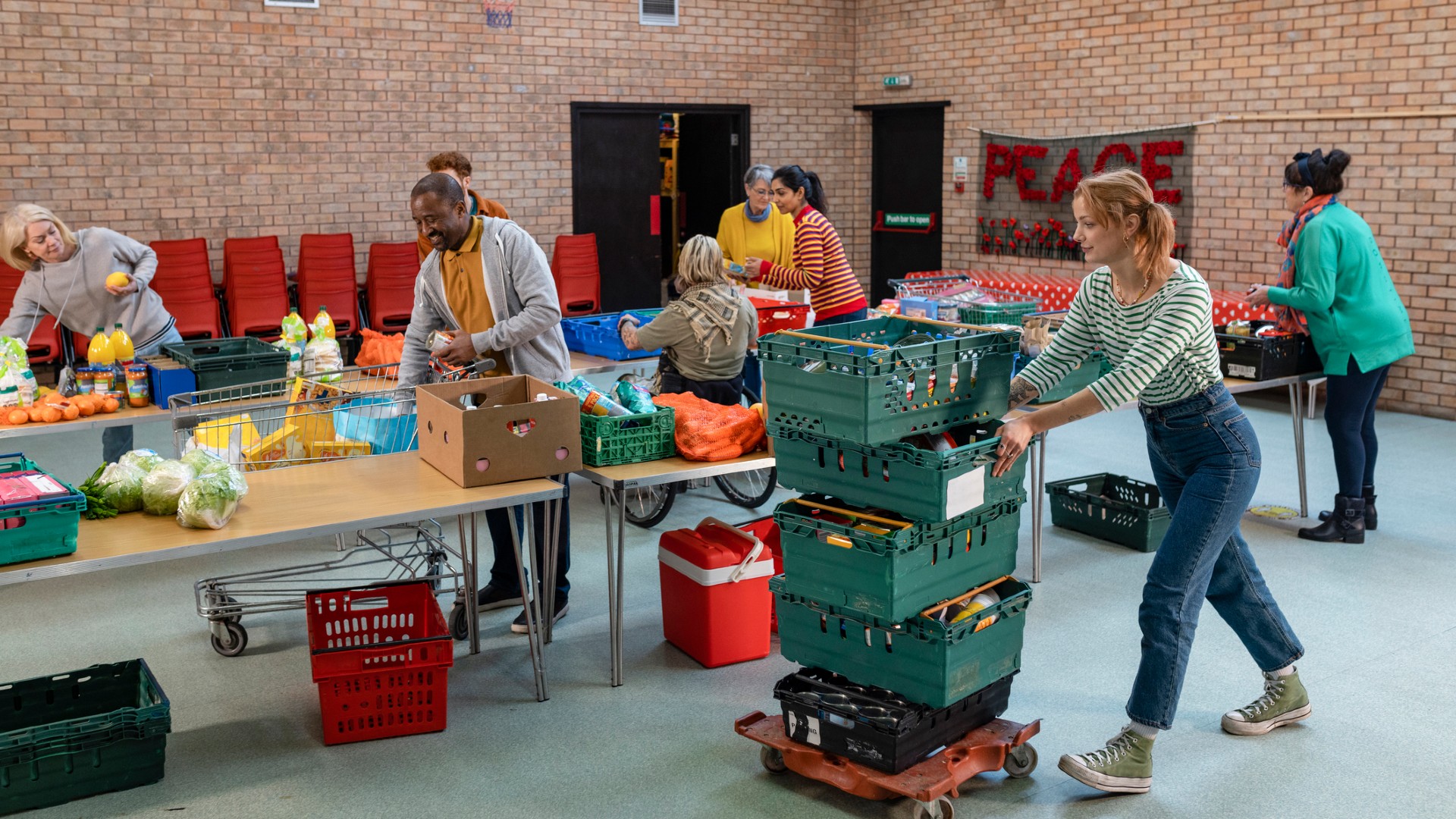 ShareNetwork Food Distribution