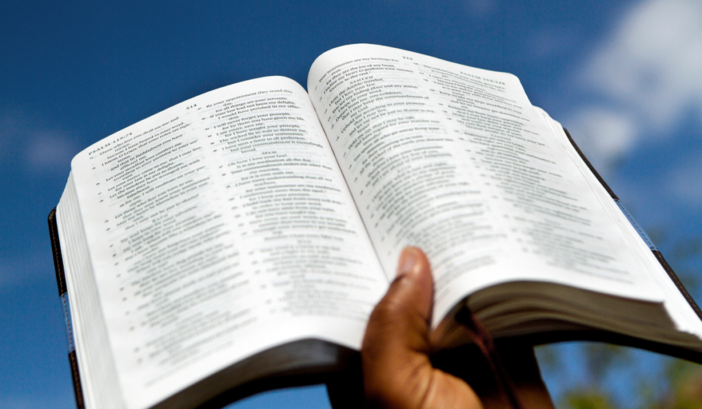 Stunning New Bible Study Reveals 63,000 Connections Pointing to God as ...