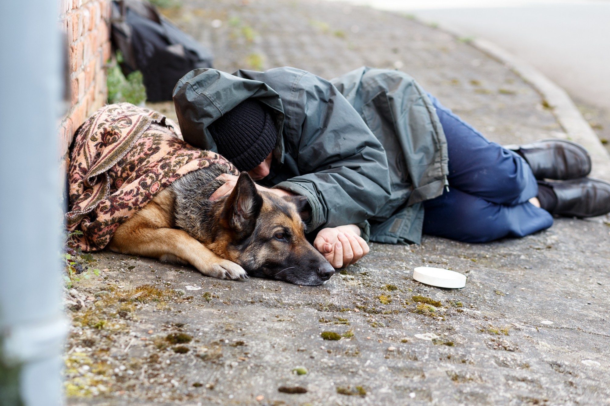 Homeless Non-working